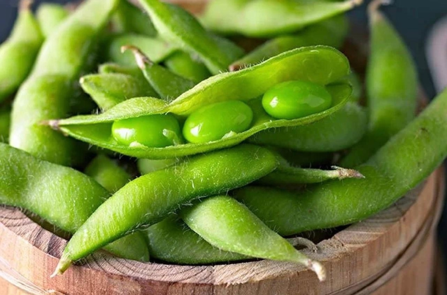 Order Edamame food online from Asakuma Sushi Delivery store, Los Angeles on bringmethat.com
