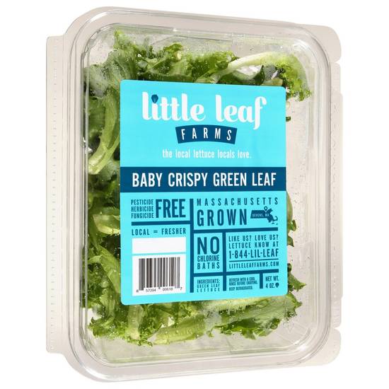 Order Little Leaf Farms · Baby Crispy Green Leaf (4 oz) food online from Shaw's store, Raynham on bringmethat.com