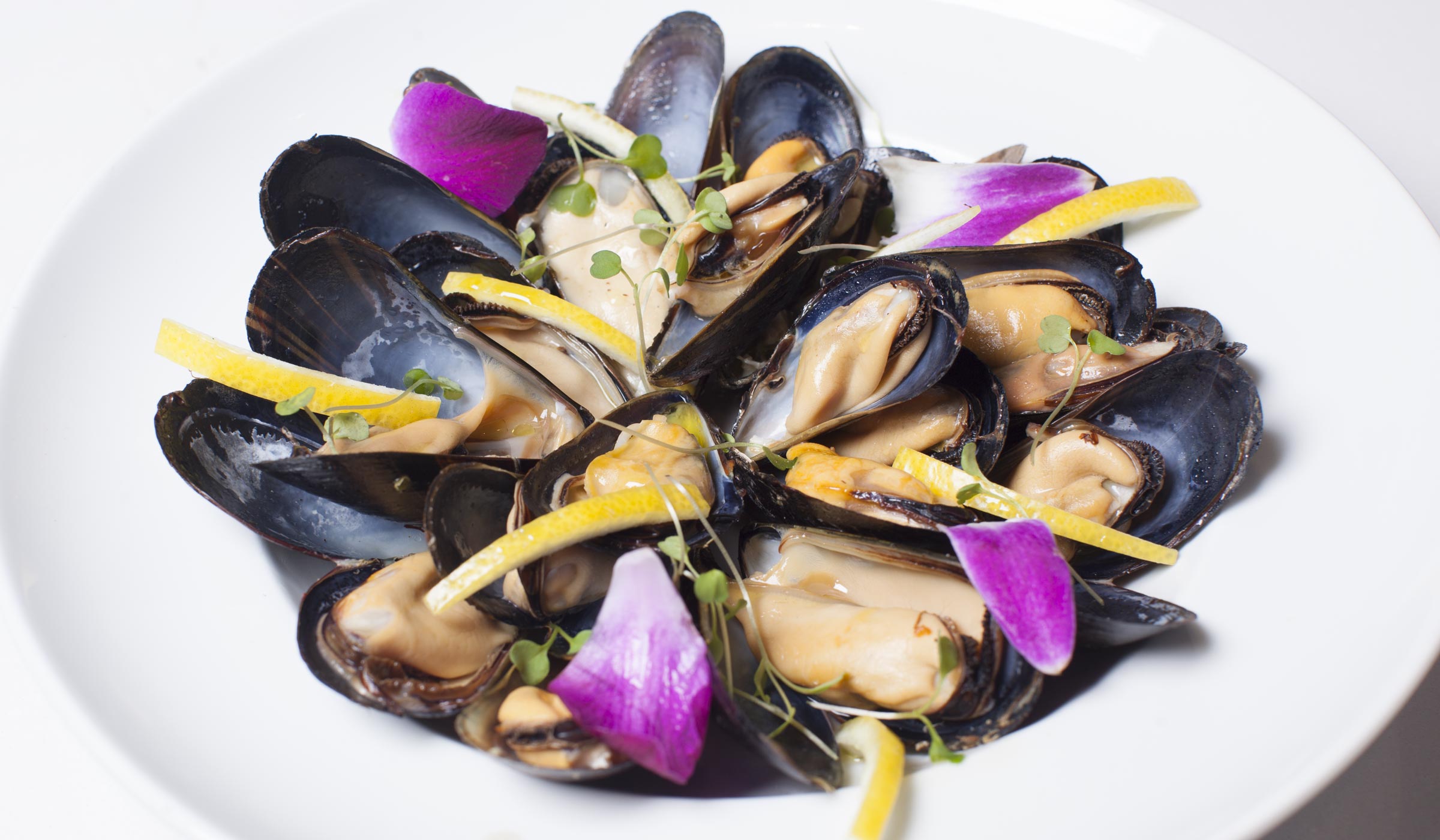 Order White Mussels  food online from Umberto Pizzeria store, Bellmore on bringmethat.com