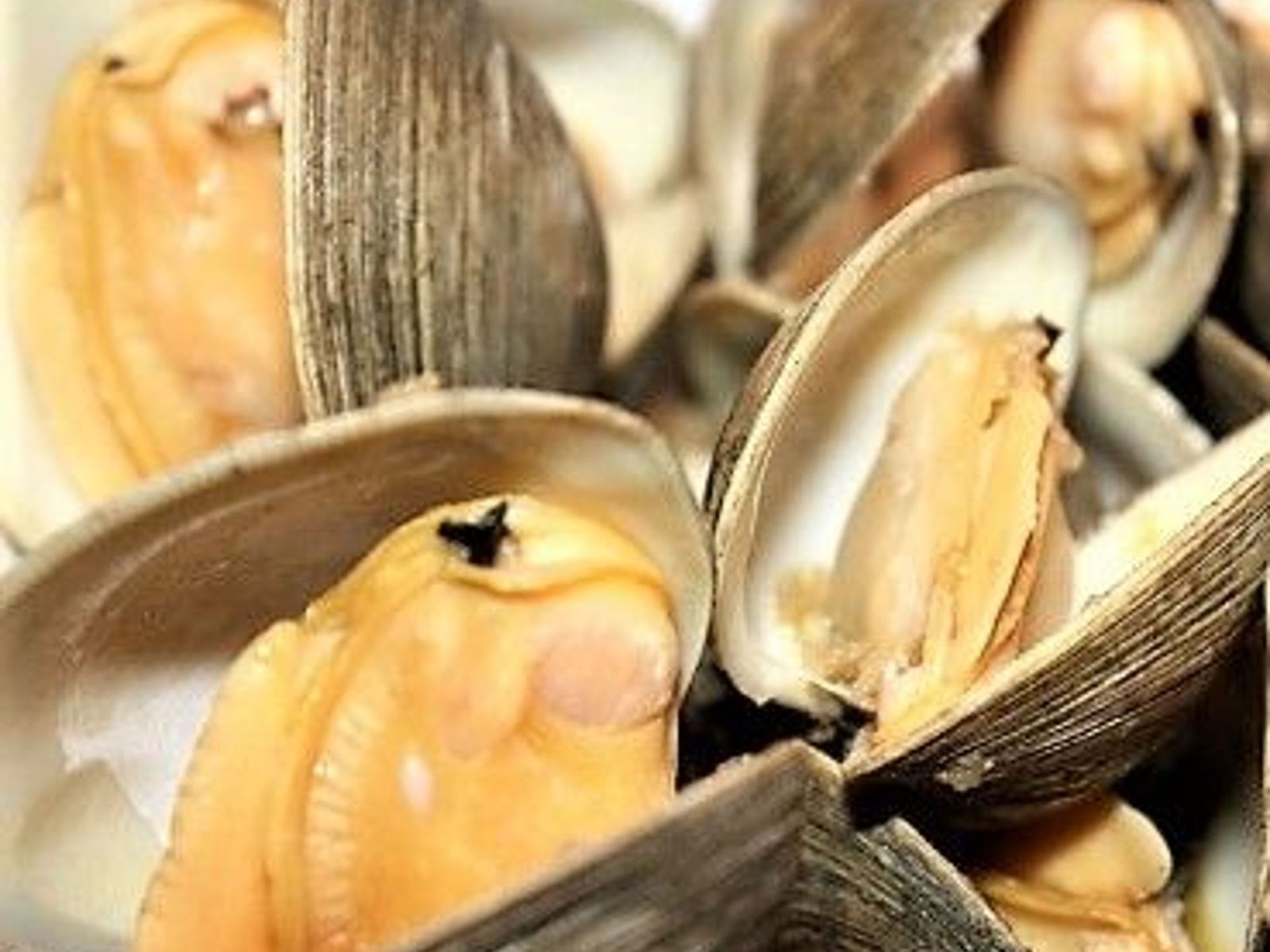 Order M4. Clams food online from Juicy Seafood store, Clarksville on bringmethat.com