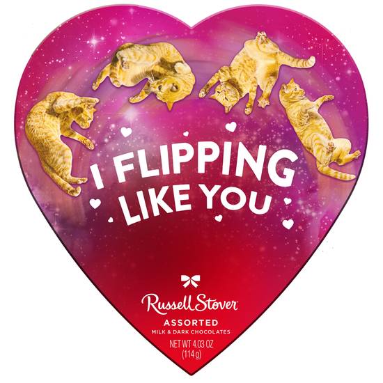 Order Russell Stover Valentine's Day Meme Heart Assorted Milk & Dark Chocolate Gift Box, 4.3 oz food online from Cvs store, WILLIMANTIC on bringmethat.com