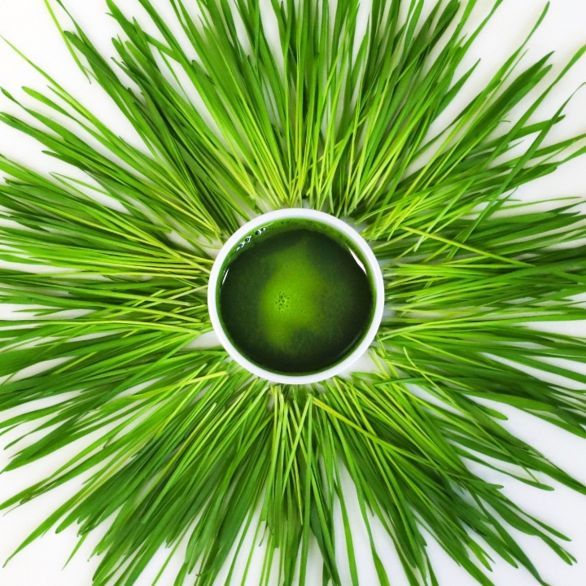 Order 1oz. Wheat Grass Shot food online from Beyond Juicery + Eatery store, Woodhaven on bringmethat.com