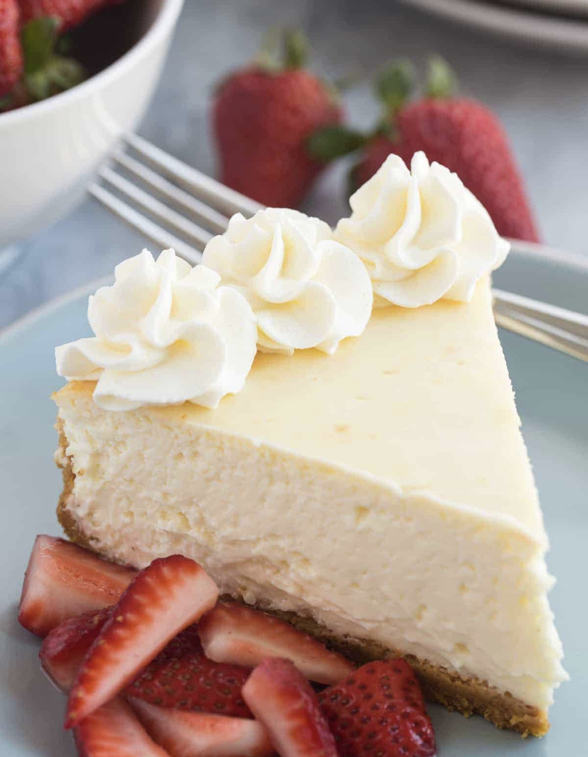Order Our Famous Cheesecake food online from The Mystic Diner & Restaurant store, Stonington on bringmethat.com