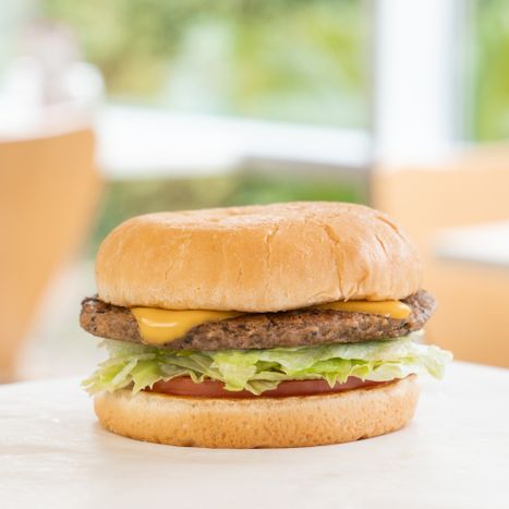 Order Veggie Burger with Cheese food online from P. Terry store, West Lake Hills on bringmethat.com