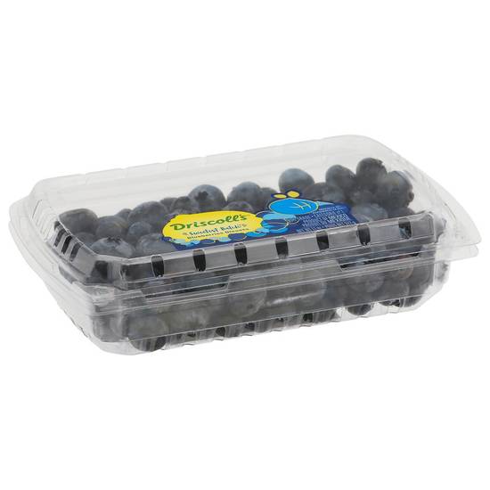 Order Driscoll's · Limited Edition Sweetest Batch Blueberries (11 oz) food online from Safeway store, Turlock on bringmethat.com