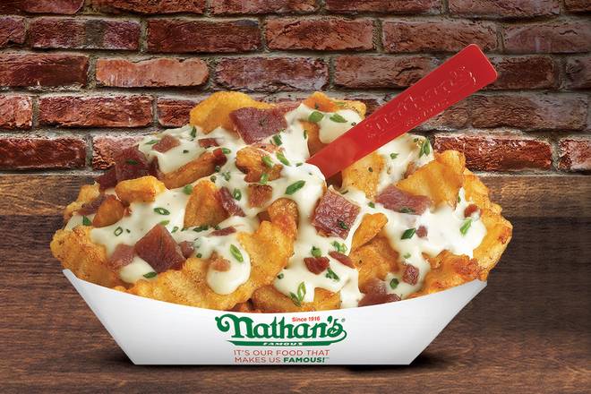 Order Bacon Ranch Fries food online from Brusters Ice Cream and Nathans Famous Hot Dogs store, West Chester on bringmethat.com
