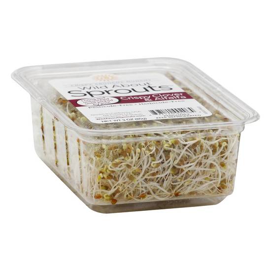 Order Wild About Sprouts · Crispy Clover & Alfalfa Sprouts (3 oz) food online from Albertsons Express store, Azle on bringmethat.com