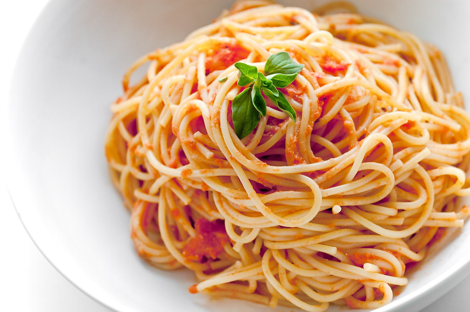 Order Pasta with Sauce food online from Amigos Pizza And Restaurant store, Cheltenham Township on bringmethat.com