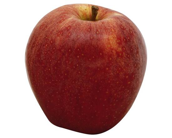 Order Xtra Fancy Gala Apples (1 apple) food online from Winn-Dixie store, Pinson on bringmethat.com