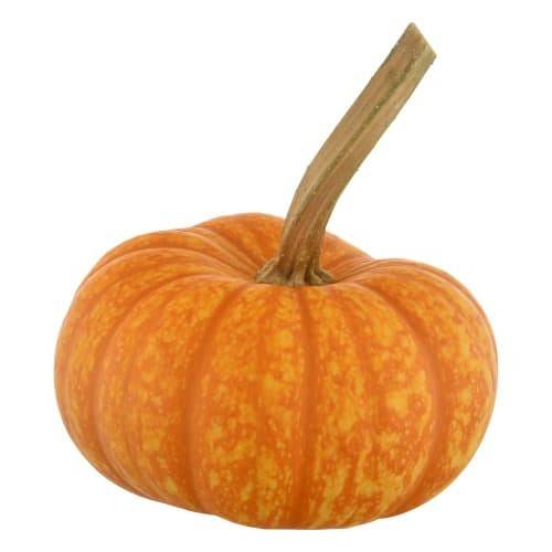 Order Bay Baby Produce · Pumpkin Ornamental (1 ct) food online from Safeway store, Bowie on bringmethat.com