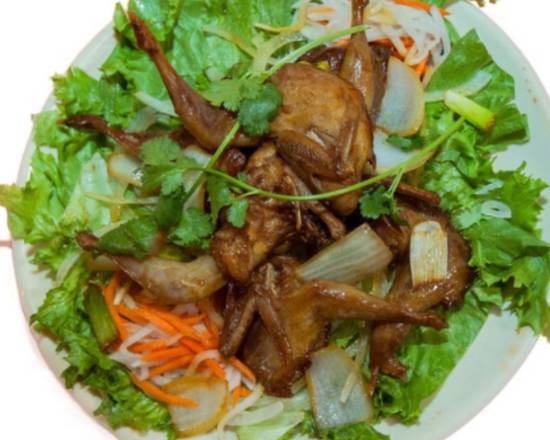 Order Chim Cut Quay food online from Pho Duong store, Springfield on bringmethat.com