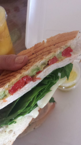 Order Turkey Avocado Panini food online from Pure Natural Juice store, Orcutt on bringmethat.com