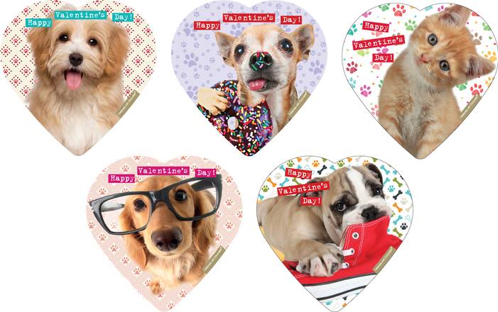 Order Box of Assorted Chocolates, Heart & Pet Designs - 1.6 oz food online from Rite Aid store, Fullerton on bringmethat.com