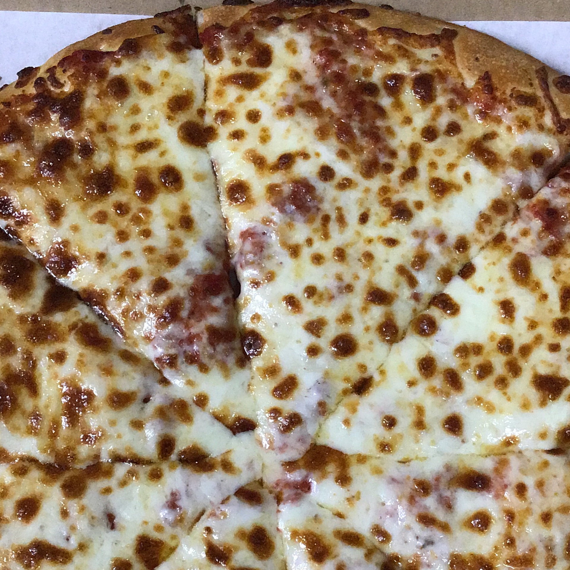 Order 1 Large 14" Cheese Pizza food online from Can-Am Pizza store, Redmond on bringmethat.com