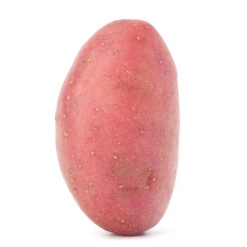 Order Fingerling Red Potato (1 potato) food online from Safeway store, Gilroy on bringmethat.com