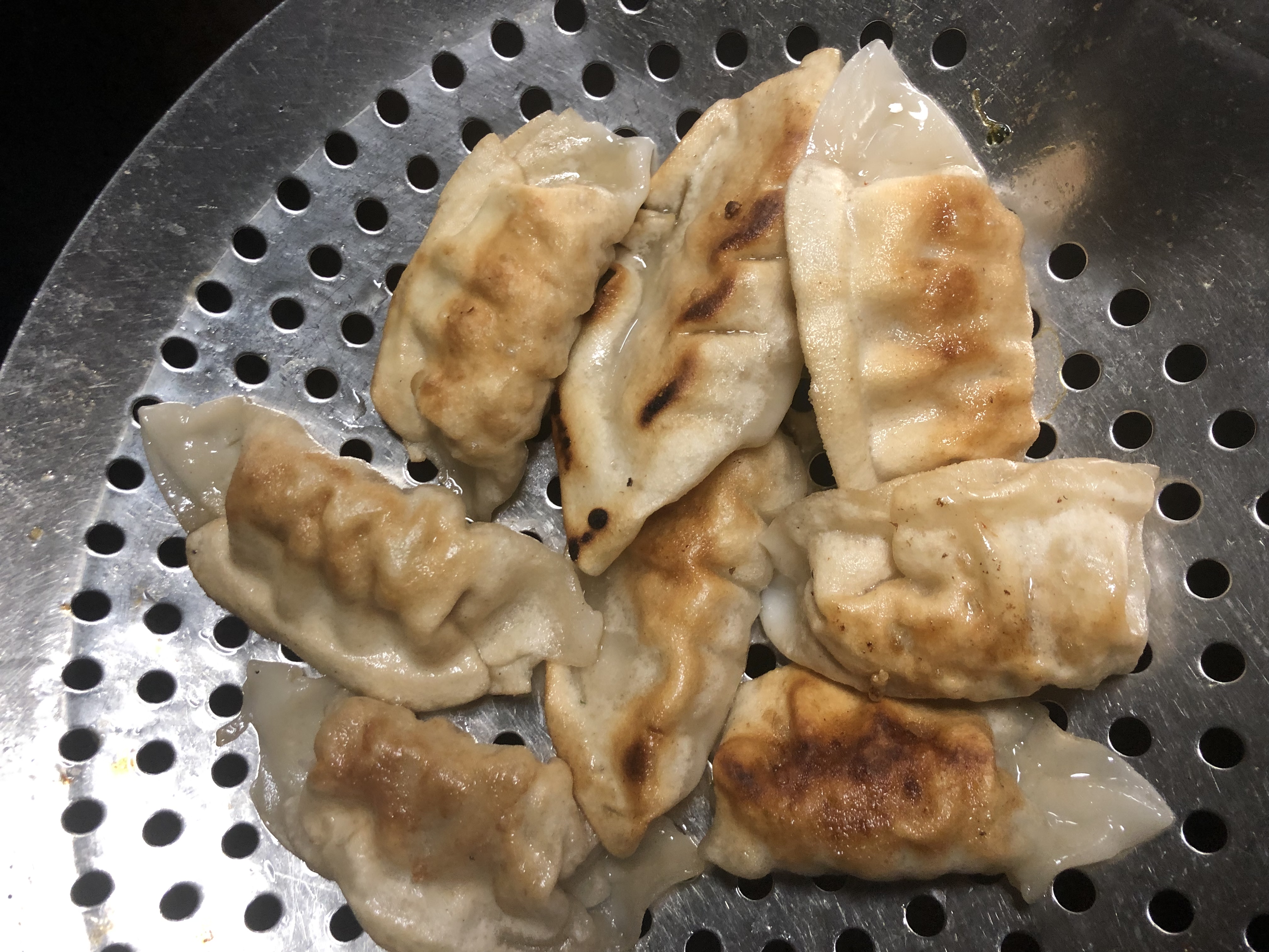 Order A10. Fried Meat Dumplings food online from Golden China store, Canton on bringmethat.com