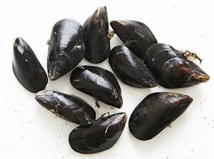 Order Mussels lb food online from Earp's Seafood Market store, Raleigh on bringmethat.com