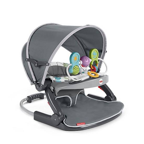 Order Fisher-Price® Sit-Me-Up On-the-Go Floor Seat in Grey food online from Bed Bath & Beyond store, Lancaster on bringmethat.com