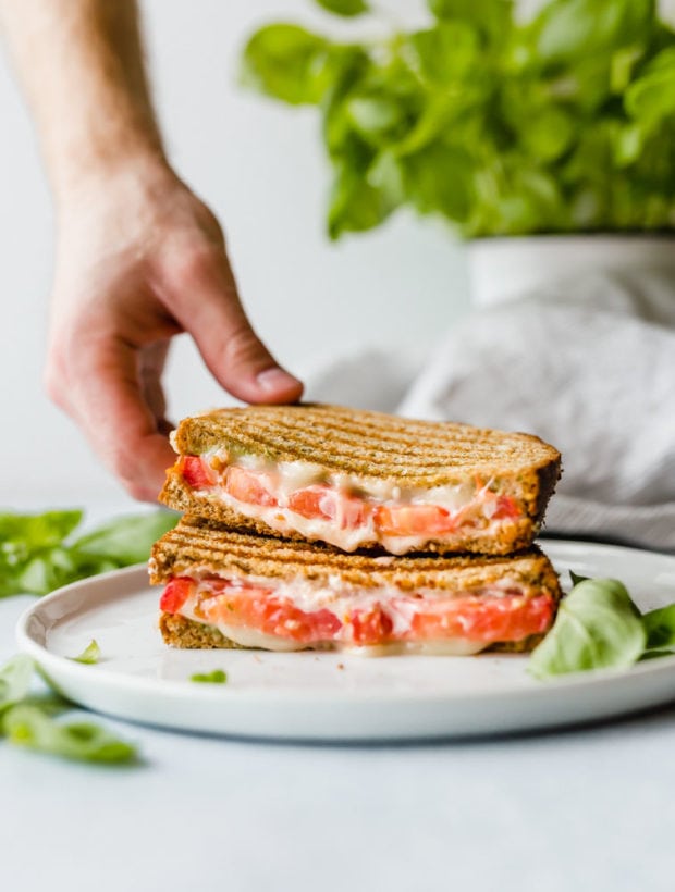 Order Tomato, Basil & Cheese Panini food online from Turkitch store, Chicago on bringmethat.com