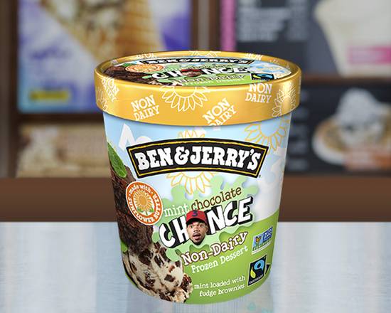 Order Mint Chocolate Chance™ Non-Dairy food online from Ben & Jerry's store, Highland Village on bringmethat.com