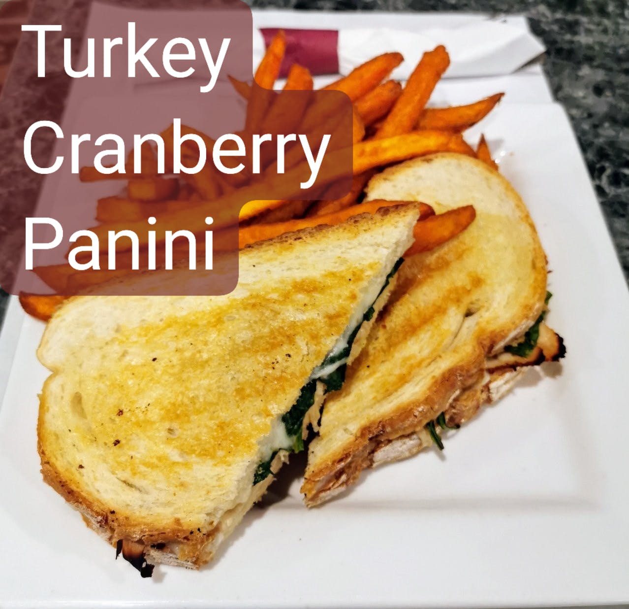 Order Roasted Turkey & Cranberry Panini - Panini food online from Angelos Restaurant & Pizza store, Spring Valley on bringmethat.com