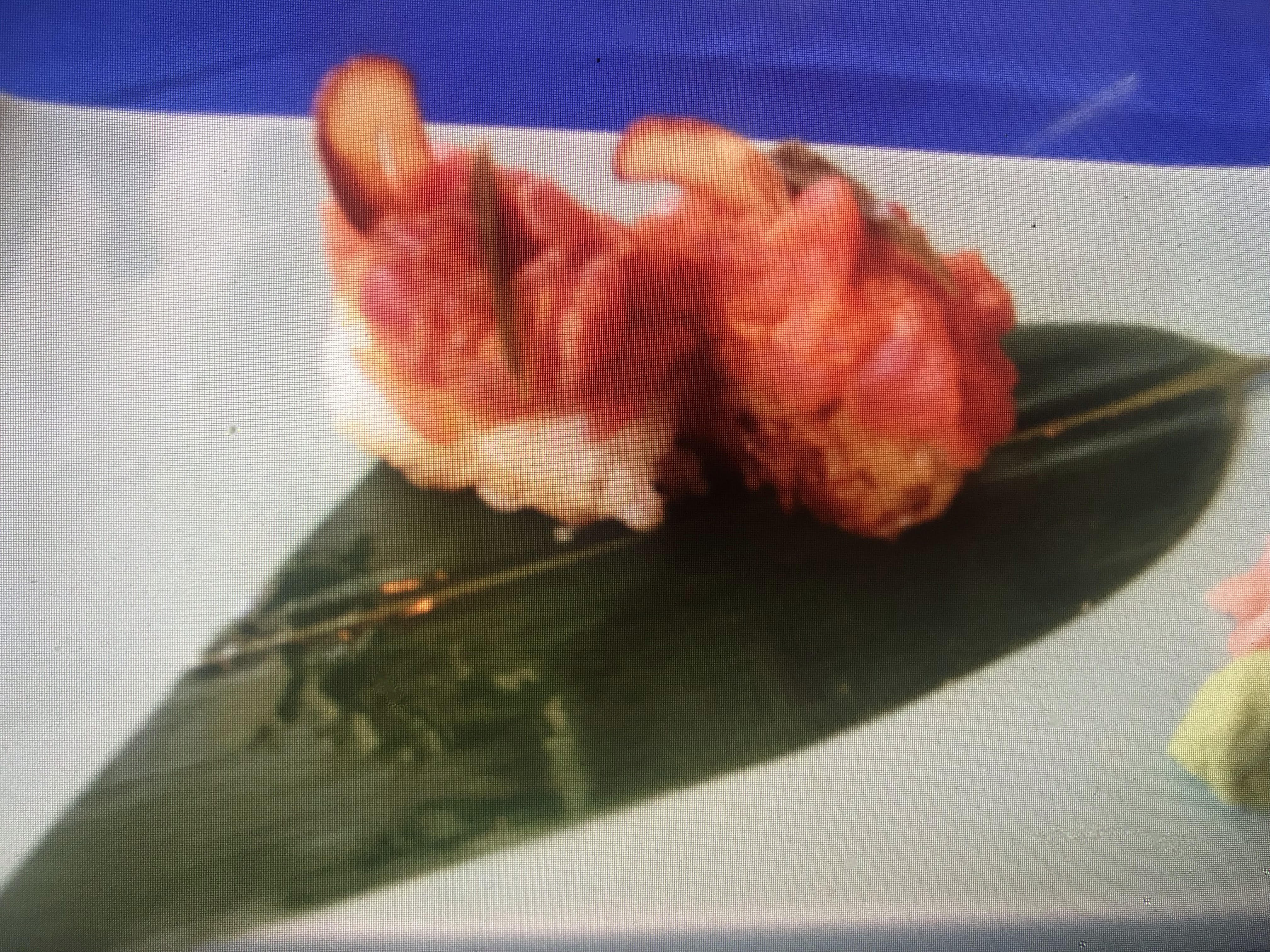 Order 6 Piece Spicy Tuna Roll food online from Little Tokyo store, Ridgeland on bringmethat.com