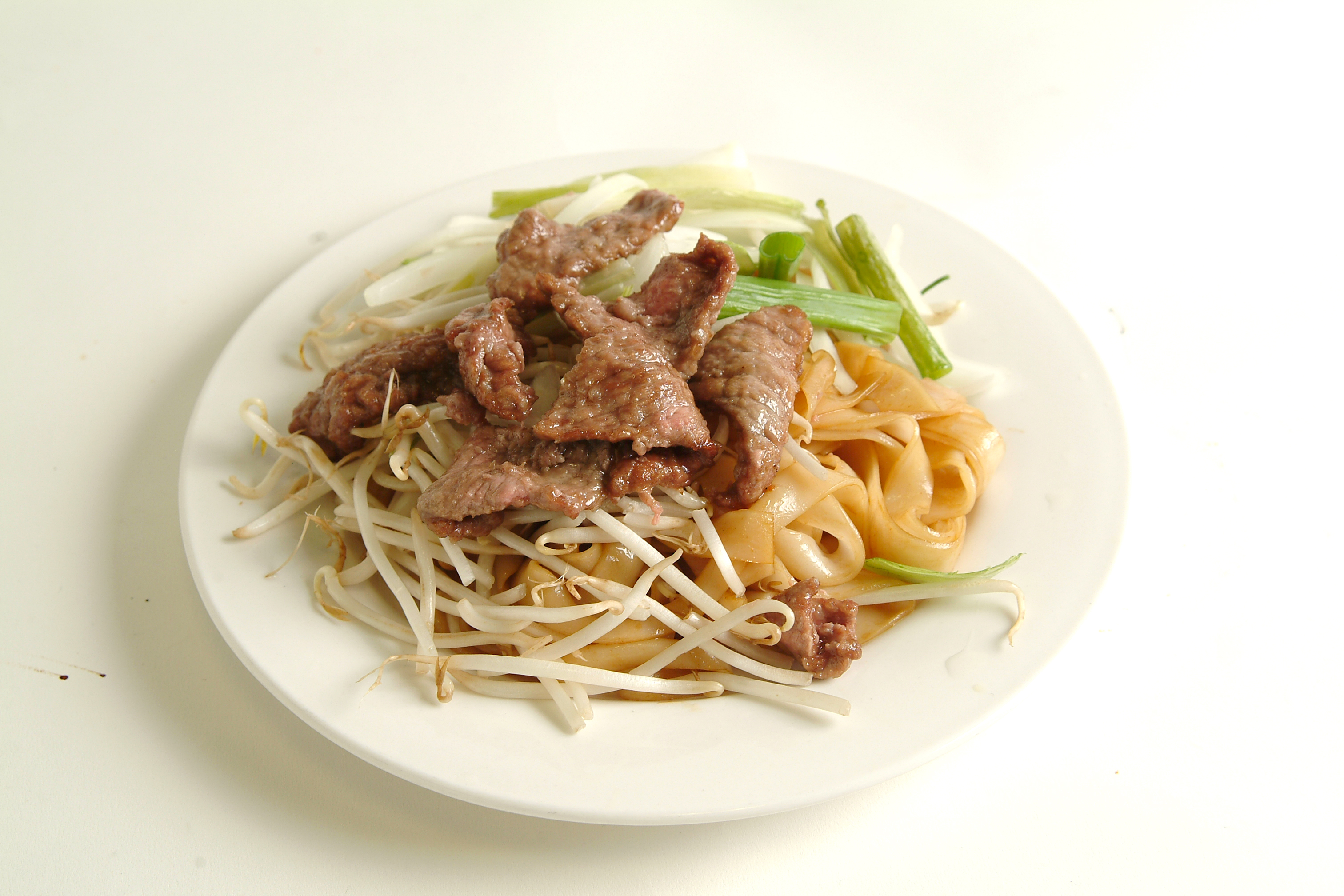 Order Beef Satay Chow Mein food online from Lotus Garden Restaurant store, San Diego on bringmethat.com