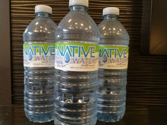 Order Bottled Water food online from The Chicken And Rice Guys store, Boston on bringmethat.com