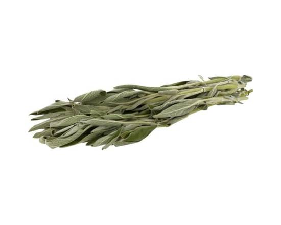 Order Sage Bunch (1 bunch) food online from Vons store, Fillmore on bringmethat.com