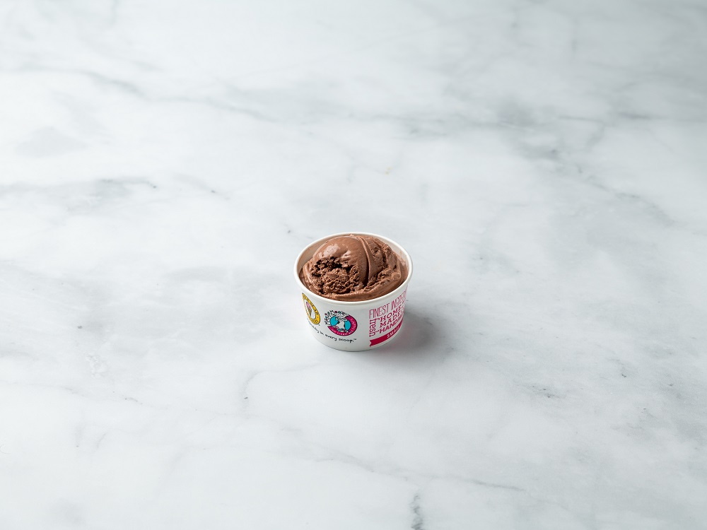 Order Small Cup Ice Cream food online from Marble Slab Creamery store, Mount Pleasant on bringmethat.com
