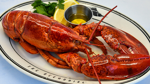 Order 1.5lb Live Maine Lobster food online from The Oceanaire Seafood Room store, Washington on bringmethat.com