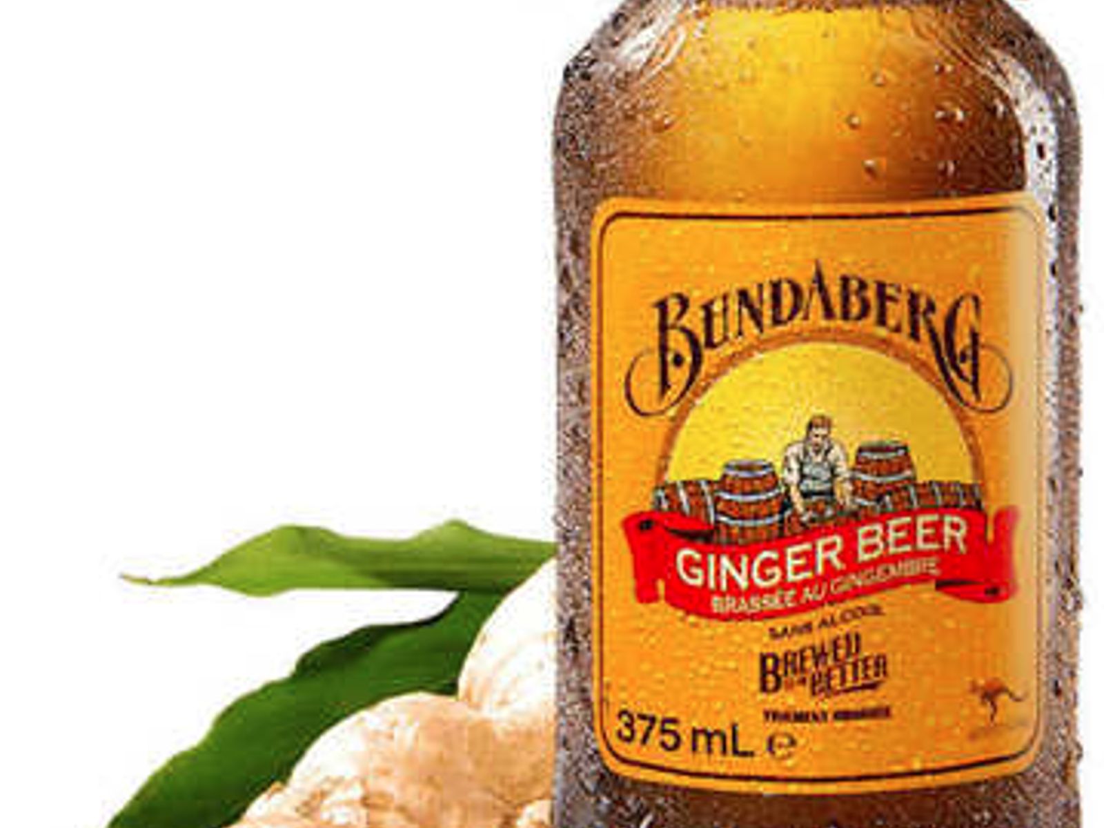 Order Bundaberg Ginger Beer food online from Curry Home store, Pittsburgh on bringmethat.com