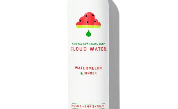Order Cloud Water Watermelon Ginger food online from Elegy Coffee store, Nashville on bringmethat.com
