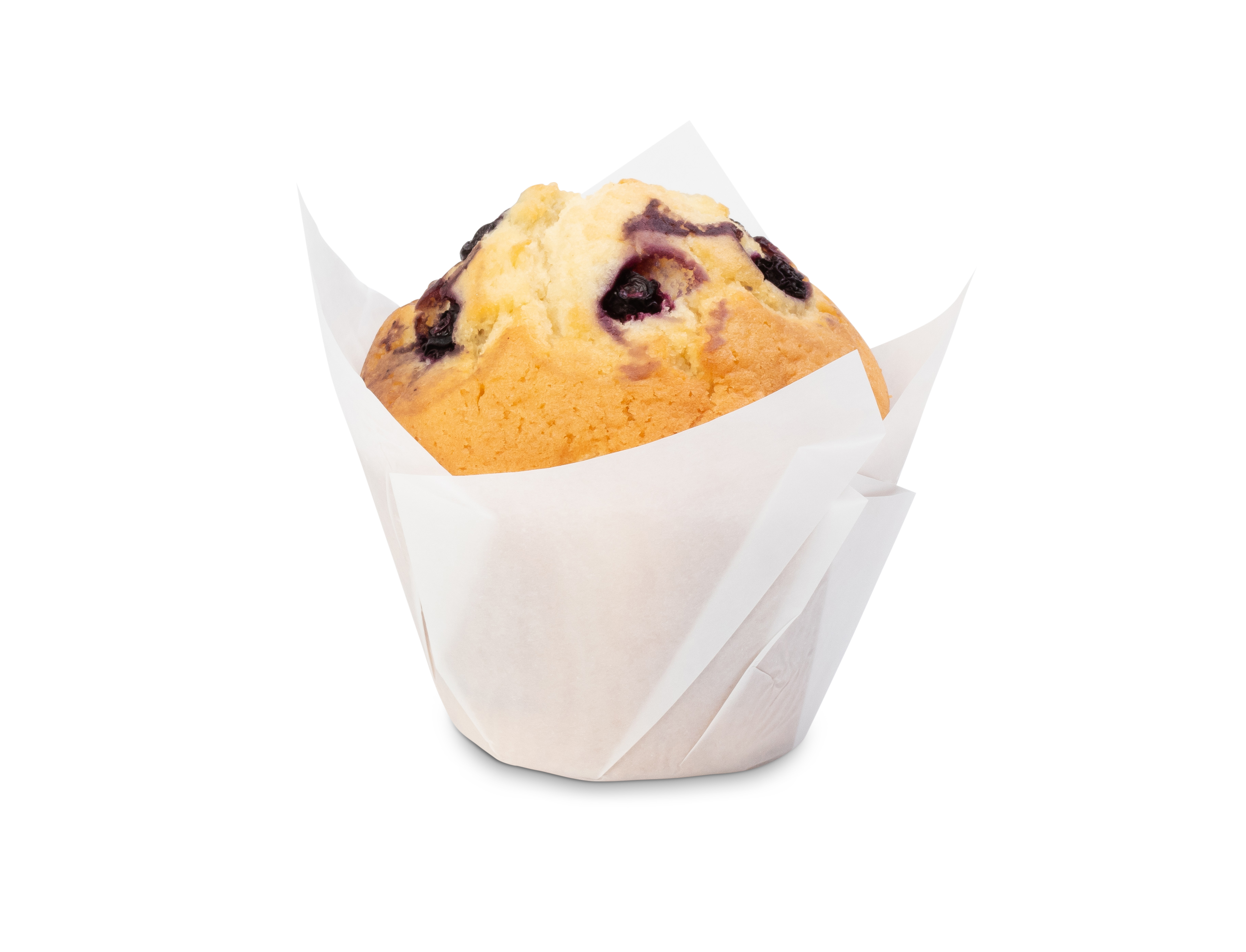 Order Blueberry muffins food online from Gloria Jean's Coffee Bean store, Aurora on bringmethat.com