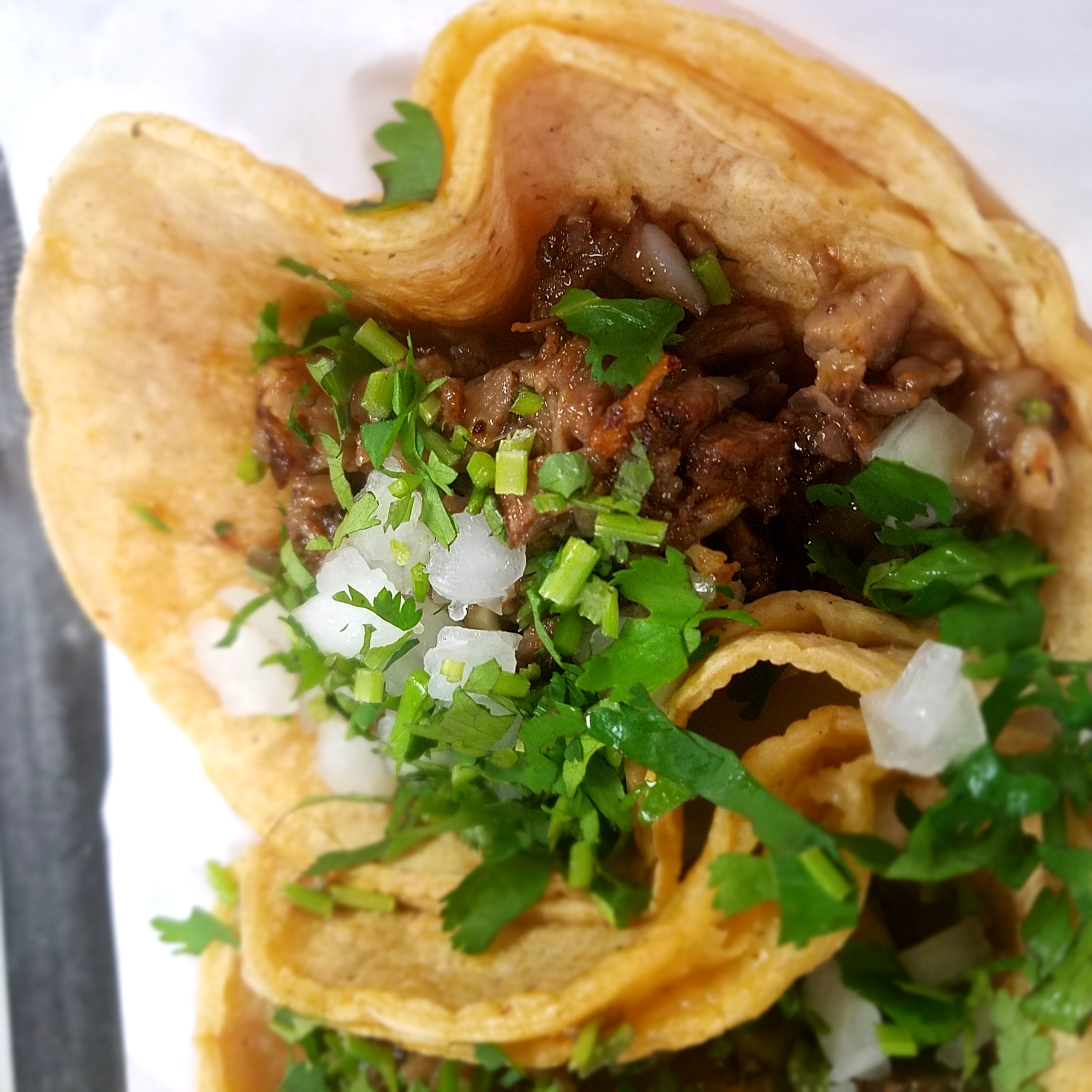 Order Cabeza Taco food online from Los Arcos store, Mount Prospect on bringmethat.com