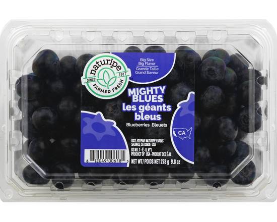 Order Naturipe · Mighty Blues Blueberries (9.8 oz) food online from Winn-Dixie store, Apollo Beach on bringmethat.com