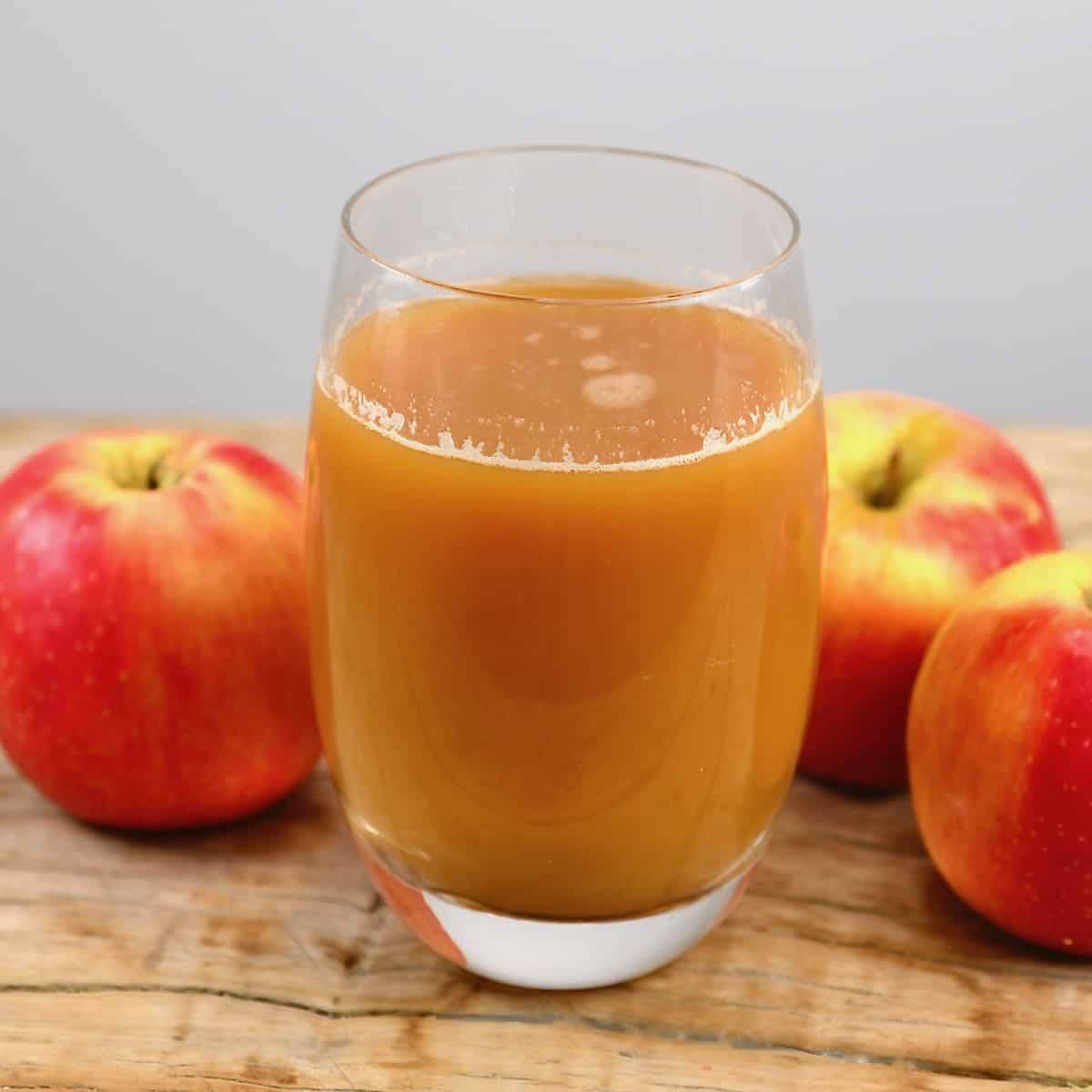 Order Apple Juice food online from Nala’S Indian Restaurant store, Austin on bringmethat.com