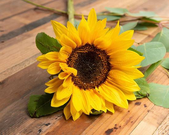 Order Sunflower food online from @Flowers Stamford store, Stamford on bringmethat.com