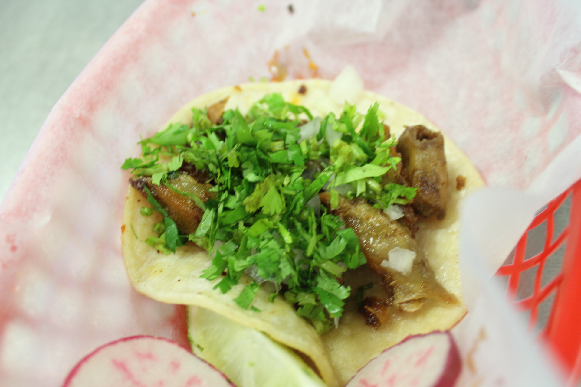 Order Tacos de Pescado food online from La Paloma Taqueria store, Balch Springs on bringmethat.com