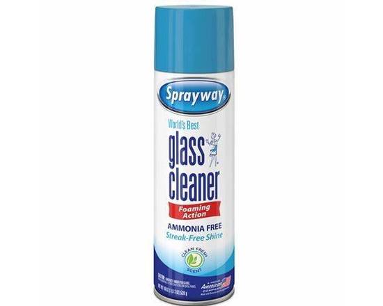 Order Sprayway  Glass-Cleaner (19 oz)  food online from Ctown Supermarkets store, Uniondale on bringmethat.com