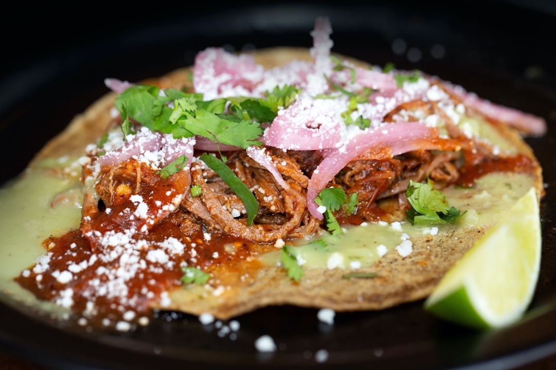 Order Barbacoa Taco food online from Oaxaca taqueria store, New York on bringmethat.com
