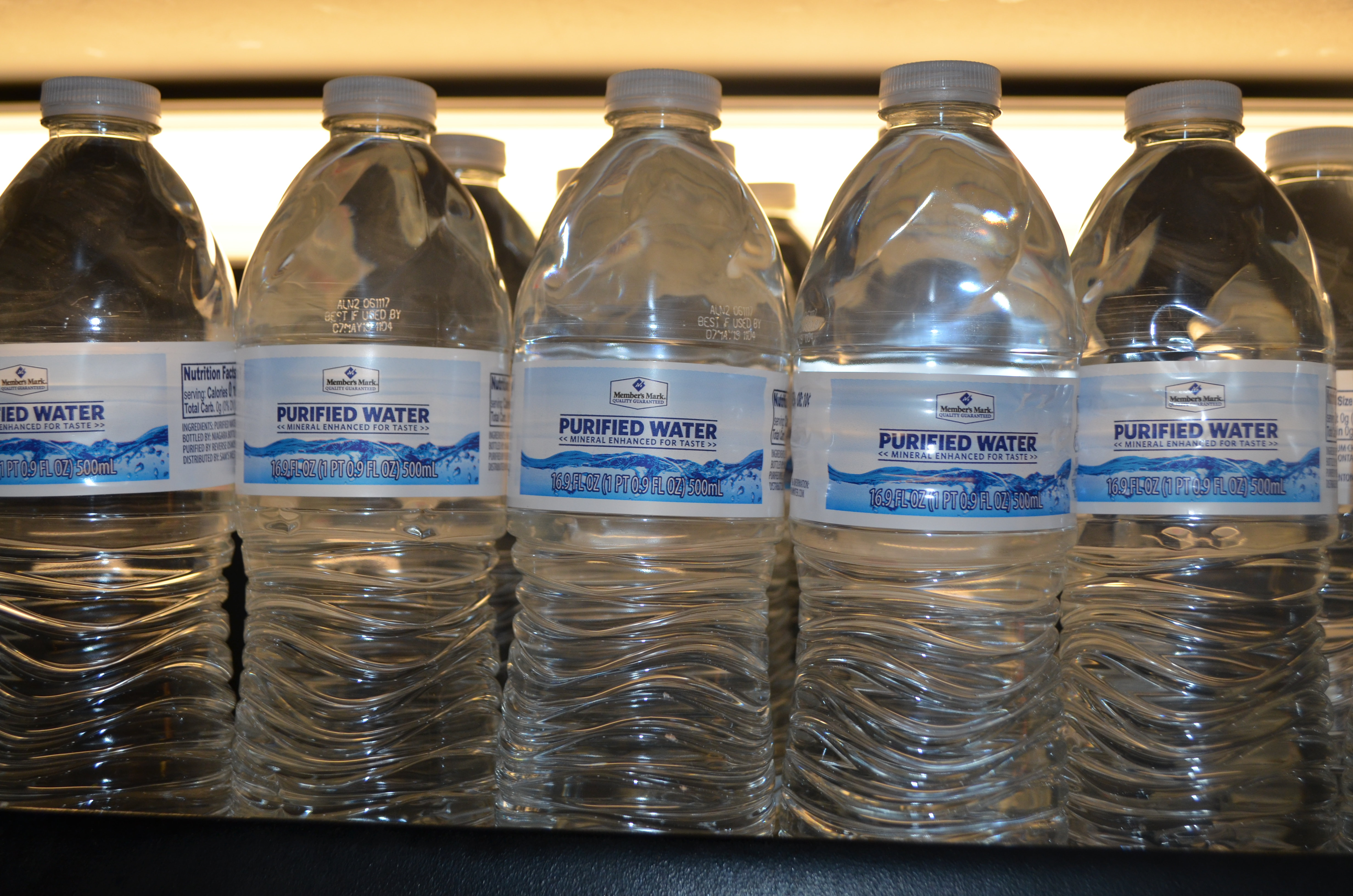 Order L3 Bottle Water food online from Indian Hut store, Bensalem on bringmethat.com