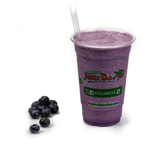 Order Blueberry Smoothie food online from Tropical Juice Bar store, Passaic on bringmethat.com