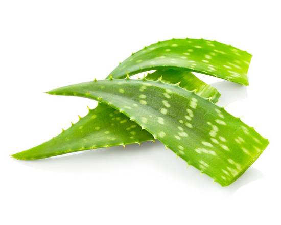 Order Aloe Vera Leaves (1 lb) food online from ACME Markets store, Somers Point on bringmethat.com