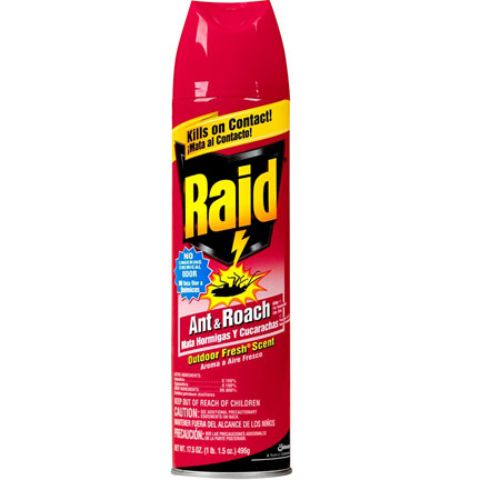 Order Raid Ant & Roach Spray 12oz food online from 7-Eleven store, San Diego on bringmethat.com