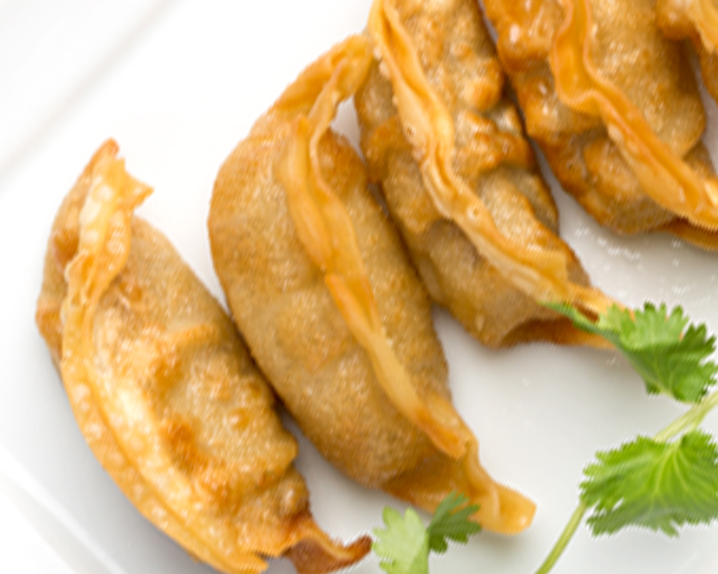 Order Fried Gyoza Dumplings food online from Kabuki Japanese Restaurant store, Cerritos on bringmethat.com