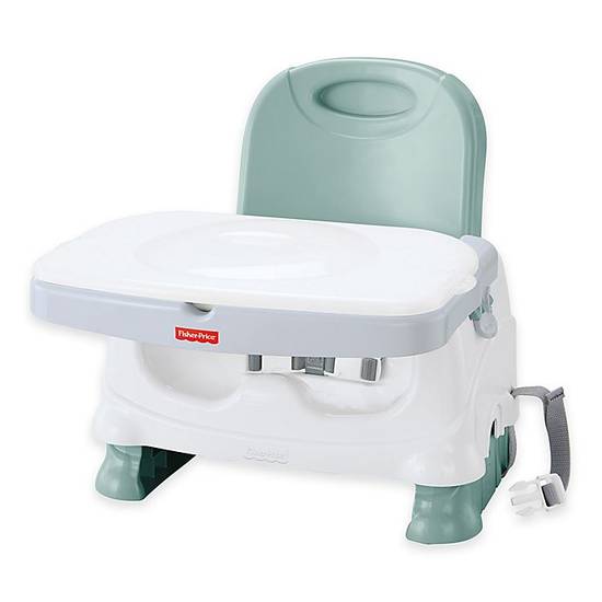 Order Fisher-Price® Healthy Care™ Deluxe Booster Seat in Grey food online from Bed Bath & Beyond store, Lancaster on bringmethat.com