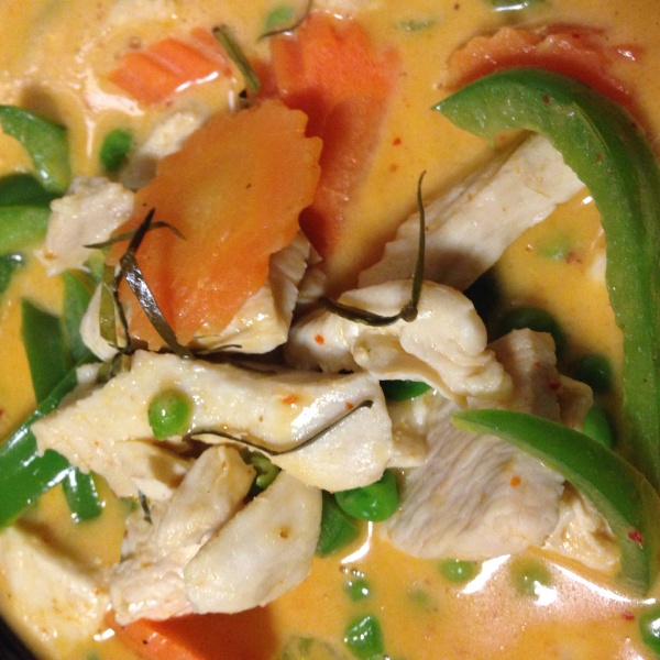 Order Panang Curry food online from Pride Sushi & Thai store, Chicago on bringmethat.com