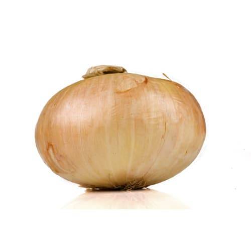 Order Organic Sweet Onion (1 onion) food online from Albertsons Express store, Alexandria on bringmethat.com