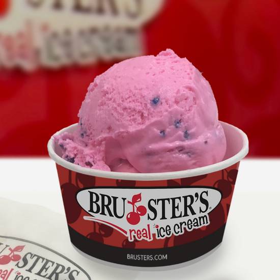 Order Small Cup food online from Bruster's Ice Cream store, Spartanburg on bringmethat.com